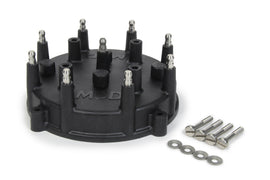 MSD74083.jpg