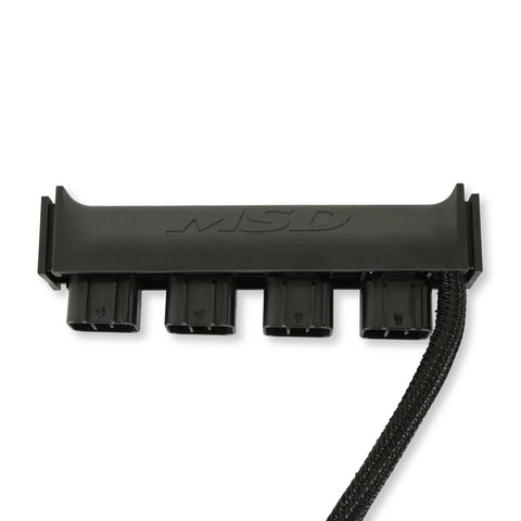 MSD77403.jpg