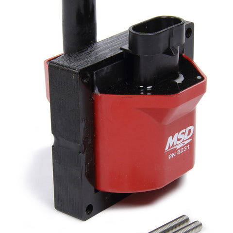 MSD8231.jpg