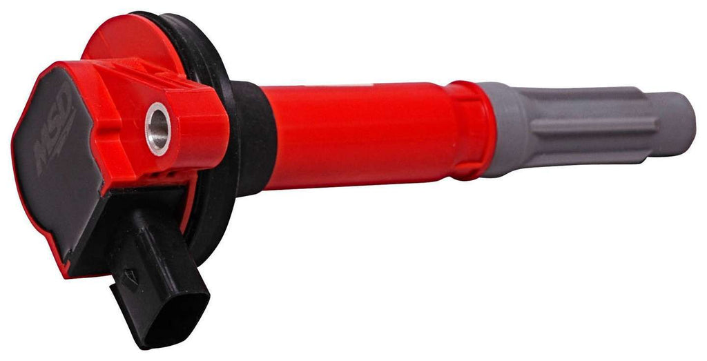 MSD8248.jpg