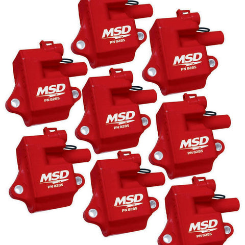 MSD82858.jpg