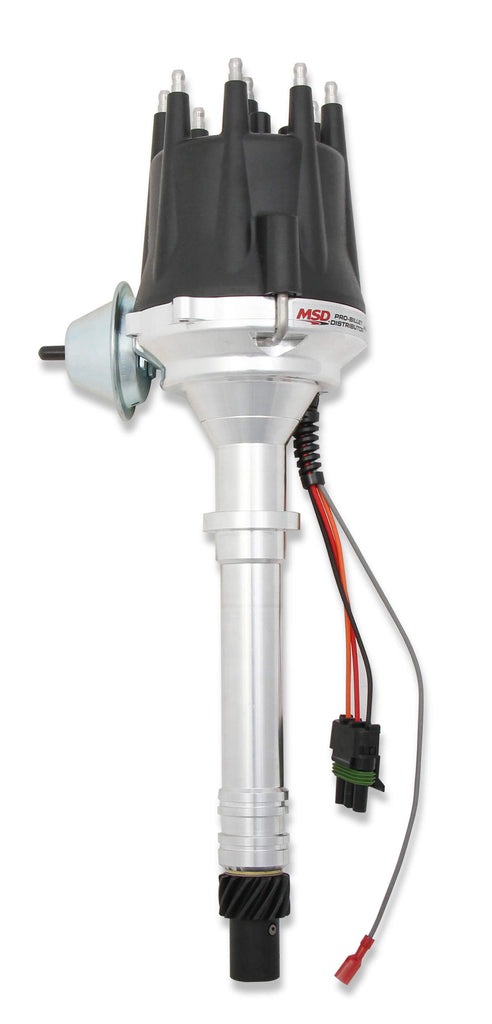 MSD83605.jpg