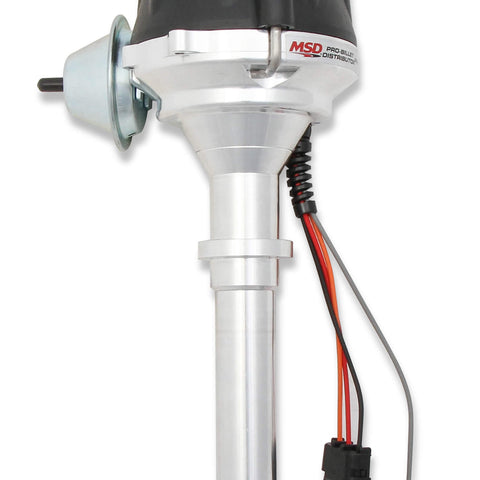 MSD83605.jpg