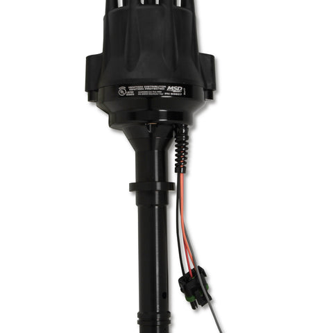 MSD83607.jpg