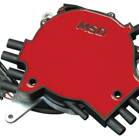 MSD8381.jpg