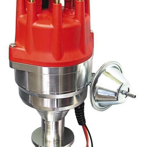 MSD8386.jpg