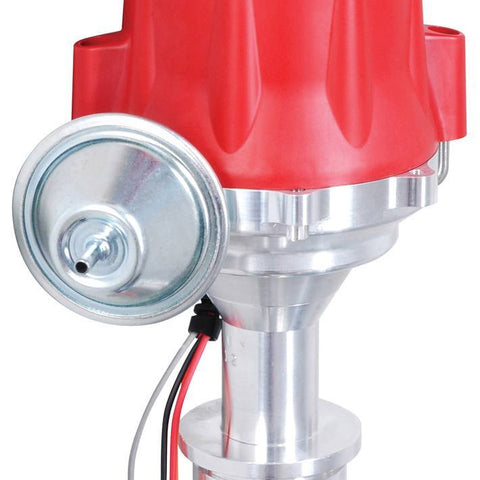 MSD8387.jpg