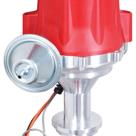 MSD8391.jpg