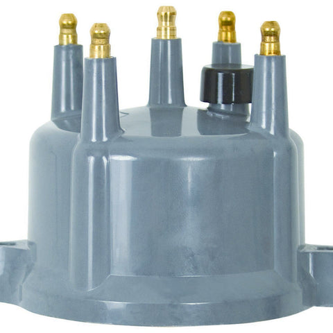 MSD8434.jpg