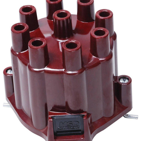 MSD8437.jpg