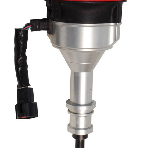 MSD8455.jpg