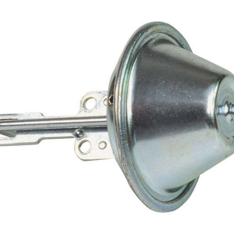 MSD8463.jpg