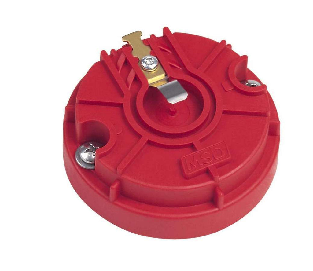 MSD8467.jpg
