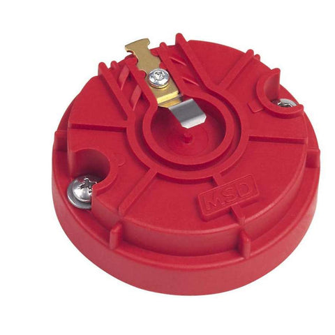 MSD8467.jpg