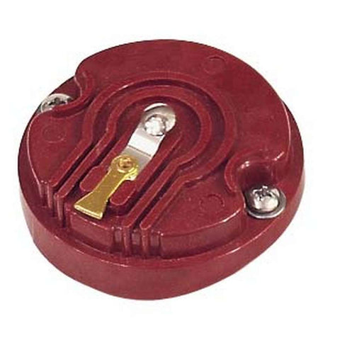 MSD8470.jpg