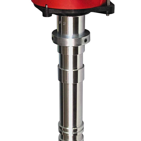 MSD8486.jpg