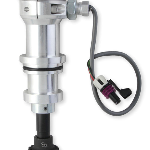 MSD85061.jpg