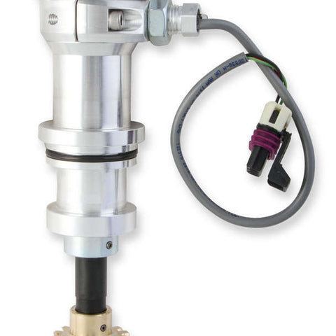 MSD85211.jpg
