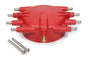 MSD8541.jpg
