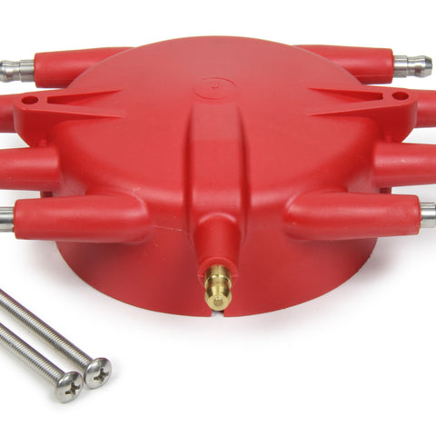 MSD8541.jpg
