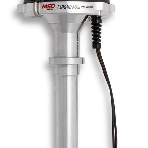 MSD85557.jpg