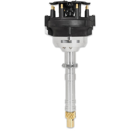 MSD85705.jpg