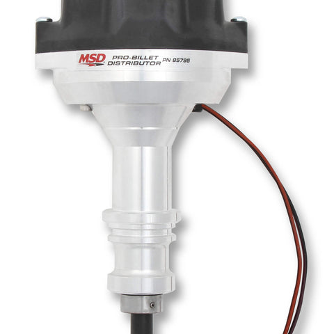 MSD85795.jpg