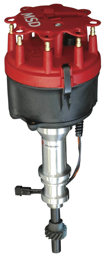 MSD8598.jpg