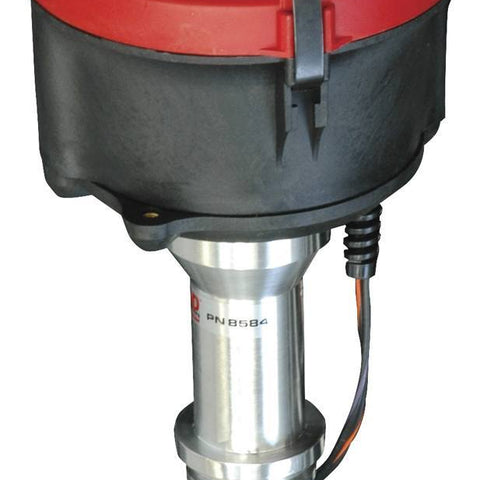 MSD8598.jpg