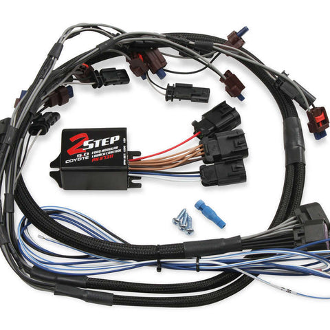 MSD87311.jpg