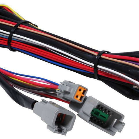 MSD8855.jpg