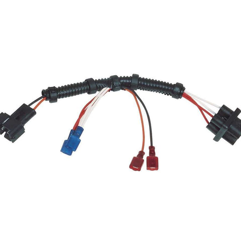 MSD8876.jpg