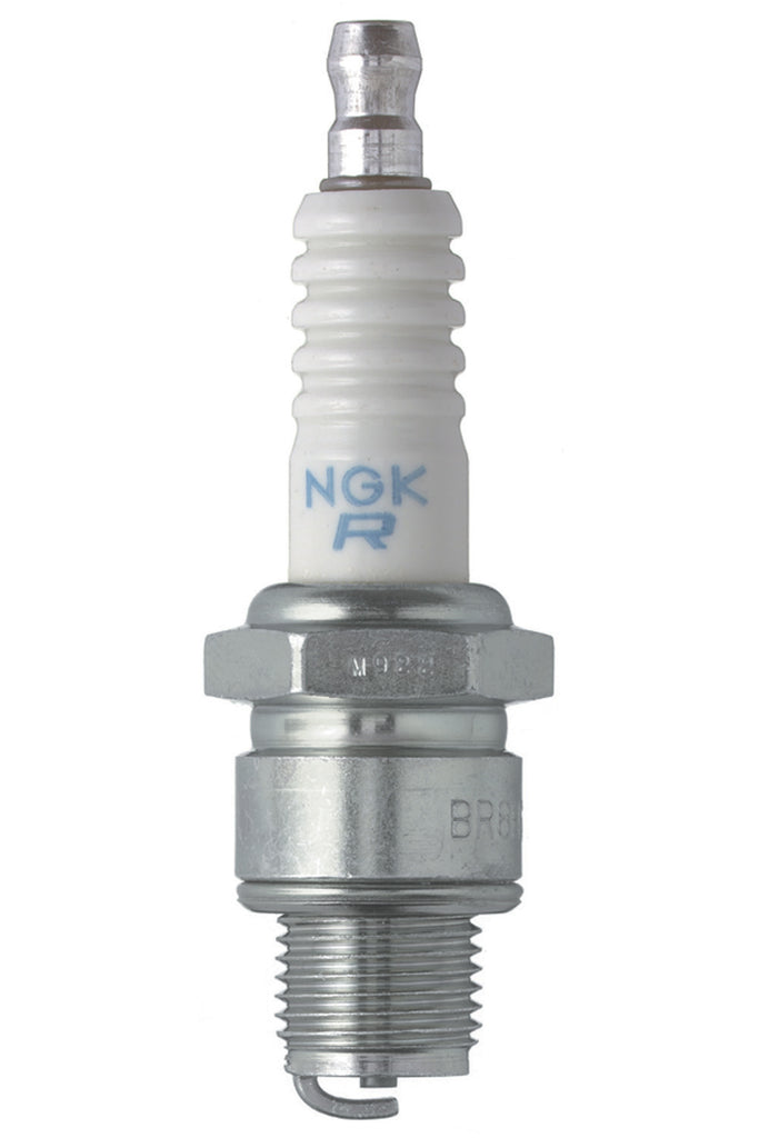 NGKBR8HS.jpg