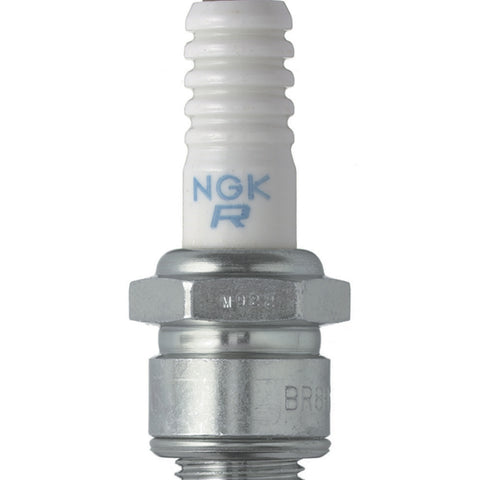 NGKBR8HS.jpg