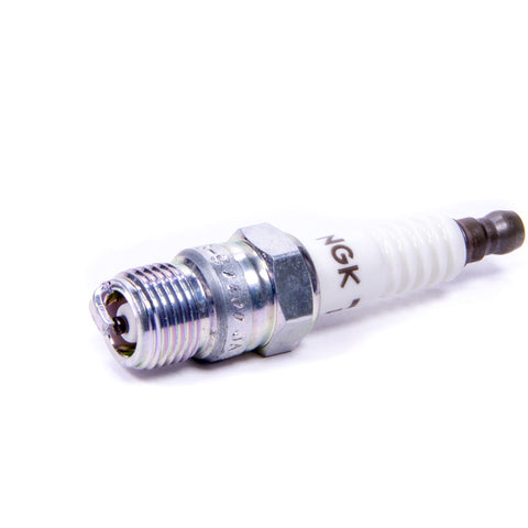 NGKR5673-9.jpg