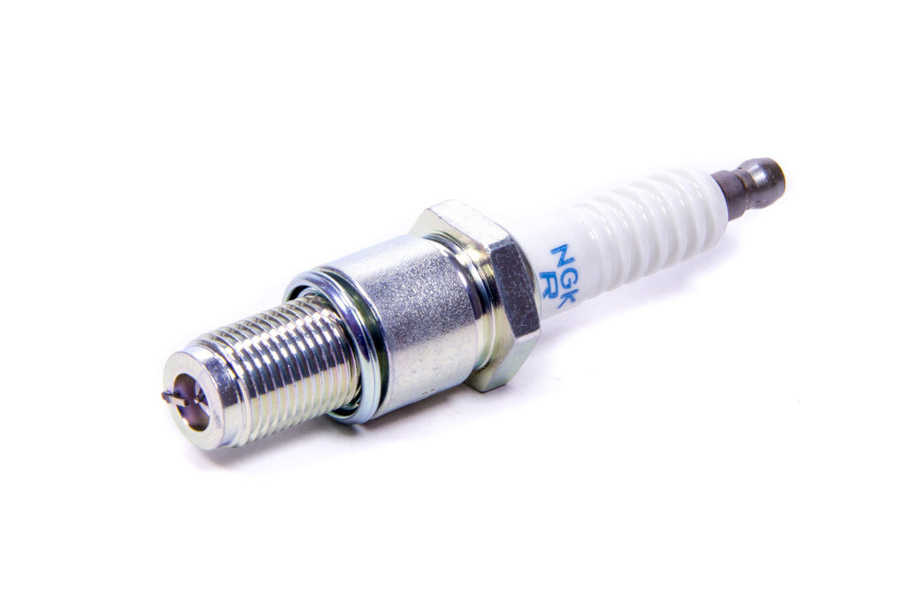 NGKR6725-11.jpg