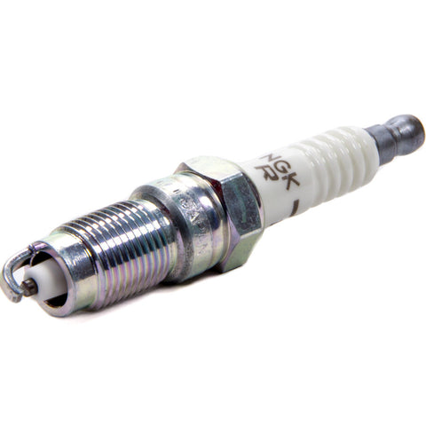 NGKTR5-1.jpg
