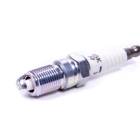 NGKTR6.jpg