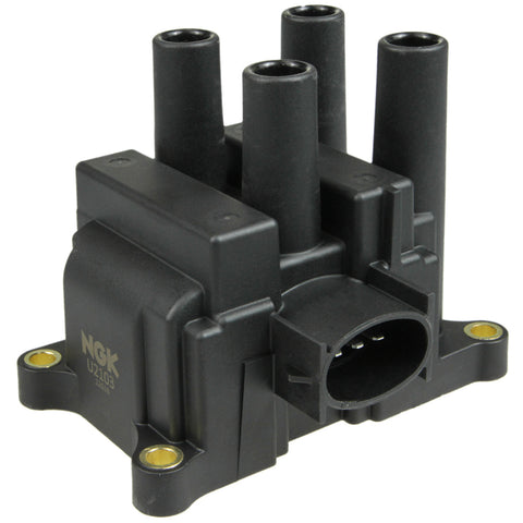 NGKU2103.jpg