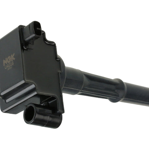 NGKU4016.jpg