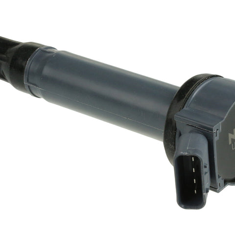 NGKU5076.jpg