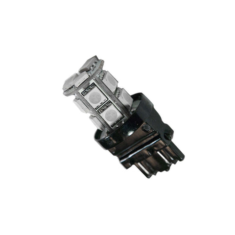 ORA5003-005.jpg