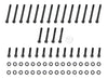 OTT10469.jpg