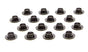 PACPAC-R313-16.jpg