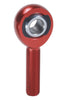 QA1AMR10-12.jpg