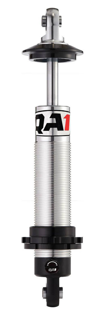 QA1DS401.jpg