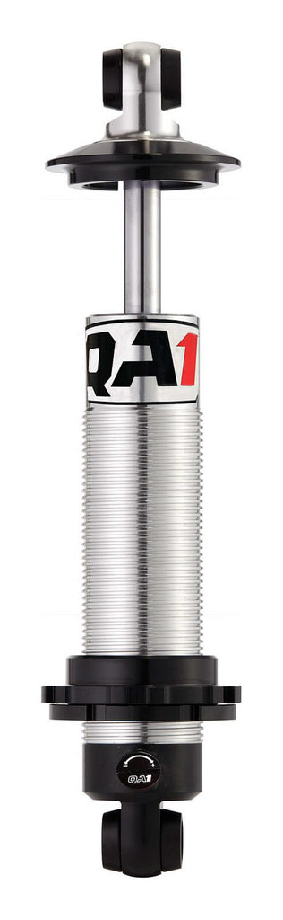 QA1DS402.jpg