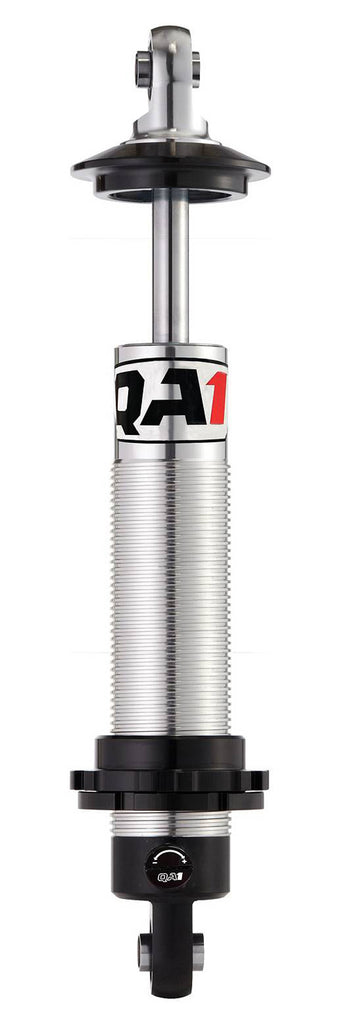 QA1DS901.jpg