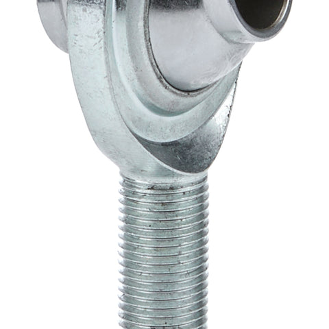 QA1PCYMR8T.jpg