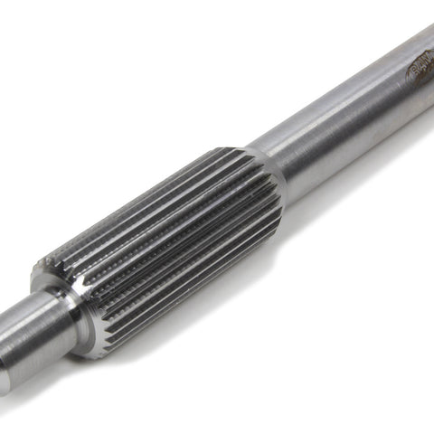 RAM03-048.jpg